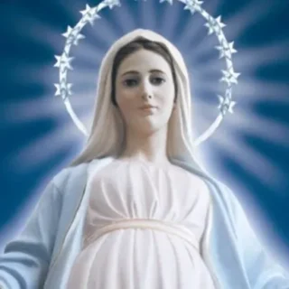 L’Immaculée conception de Marie  14 Courgettes à la libanaise