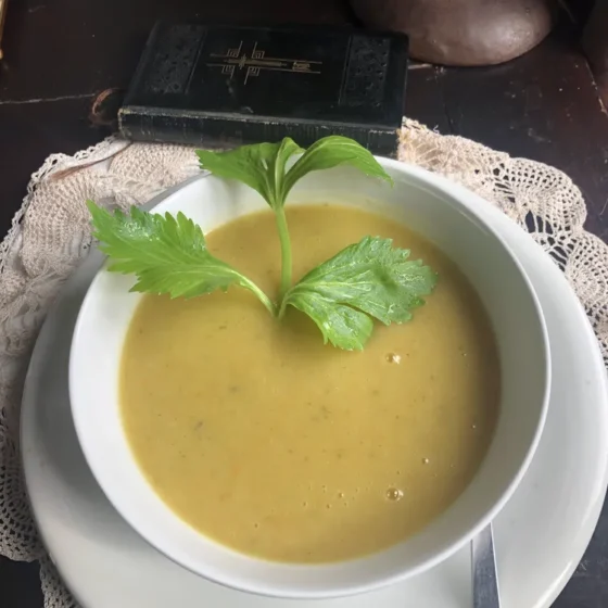 Soupe mennonite aux poireaux
