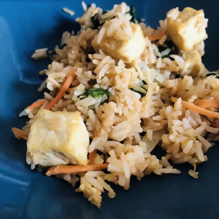 Riz carottes tofu shojine vegan5