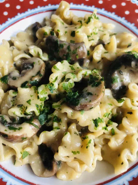 Champignons stroganov14