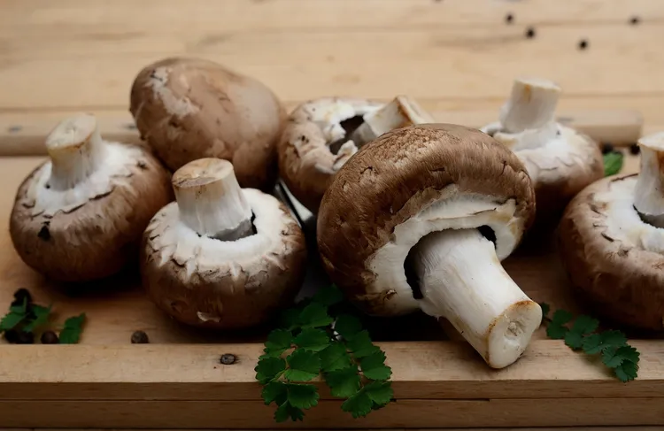 Mois de Mai, Mois de Marie 11 Pierogi z kapusta i grzybami Pierogi choux champignons37