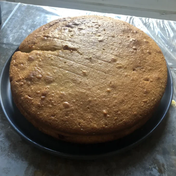 Schwarzplententorte : Gâteau de Noël tyrolien. 9 Schwarzplententorte Torta di natale23