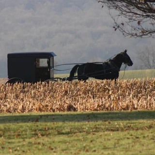 Le Fasnachts ou Mardi Gras Amish 19 Fasolia (Ragoût de haricots)