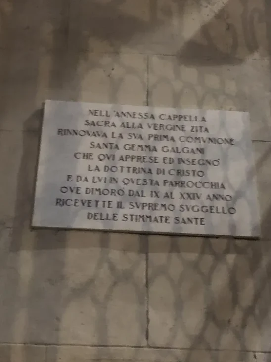 Sainte Zita1 tz02 result