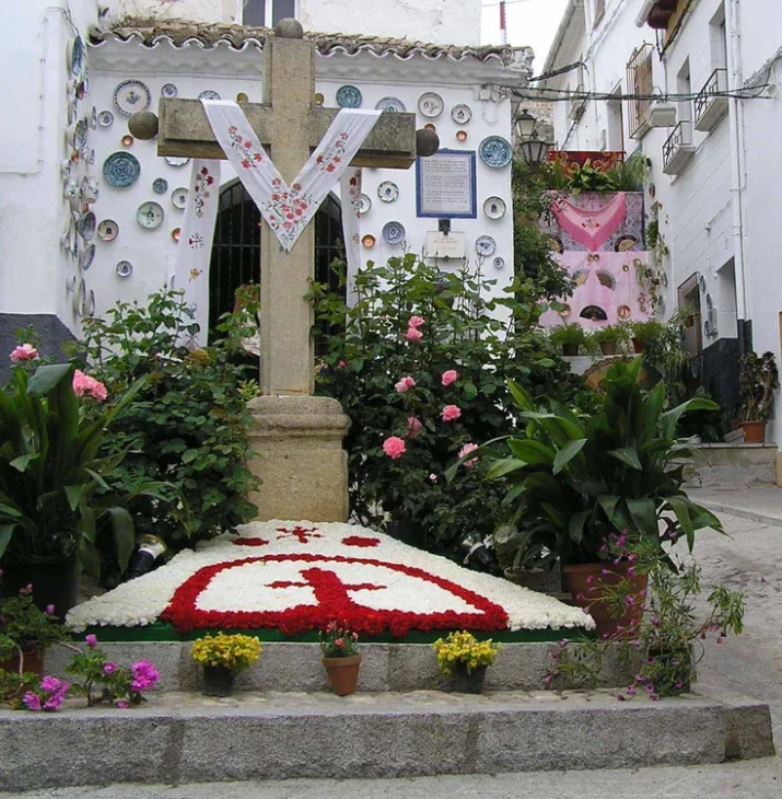 MAYO CRUZ Espagne result